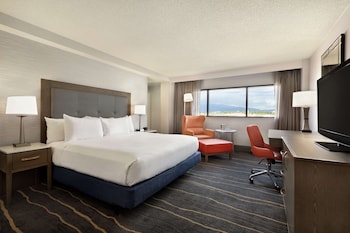 Room, 1 King Bed, Mountain View