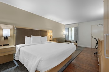 Standard Room, 1 King Bed, Non Smoking, Courtyard View