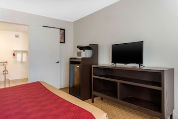 1 King Bed Accessible No Smoking