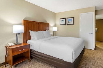 Basic Room, 1 Queen Bed, Accessible, Non Smoking