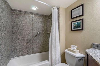 Deluxe Suite, 1 King Bed with Sofa bed, Non Smoking (1 Person Sofa Bed)
