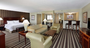 King Suite, 1 King Bed with Sofa bed, Non Smoking