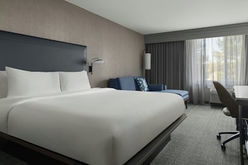 Room, 1 King Bed