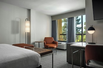 Room, 1 King Bed with Sofa bed (Hearing Accessible)
