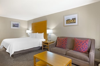 Standard Room, 1 King Bed, Accessible, Non Smoking
