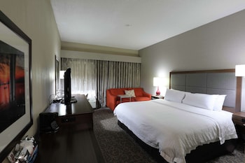 Room, 1 King Bed, Accessible, Non Smoking