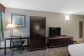 Standard Room, 1 King Bed, Non Smoking, Refrigerator & Microwave