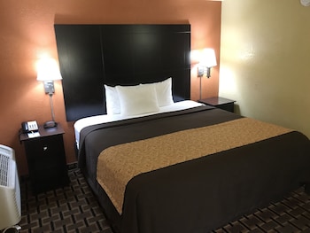Room, 1 King Bed, Smoking