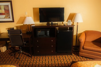 Room, 1 King Bed, Smoking