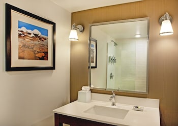 Suite, 1 King Bed with Sofa bed (Hearing Accessible)