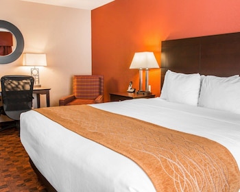 Suite, 1 King Bed with Sofa bed, Non Smoking