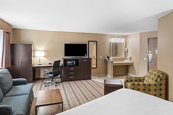 Suite, 1 King Bed, Accessible, Refrigerator & Microwave (with Sofabed)
