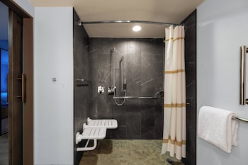 Room, 1 King Bed (Mobility Accessible, Roll-in Shower)