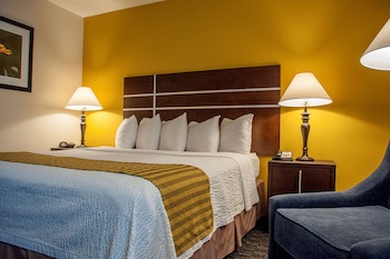 Standard Room, 1 King Bed, Non Smoking, Refrigerator