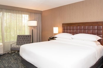 Traditional Room, 1 King Bed