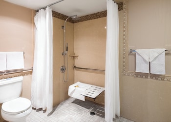 Accessible King Room w/ Roll-In Shower