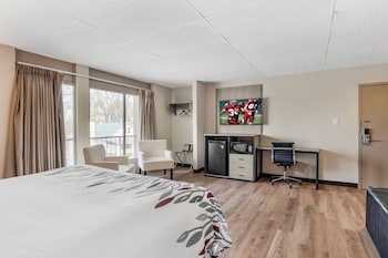Superior Room, 1 King Bed, Non Smoking, Jetted Tub