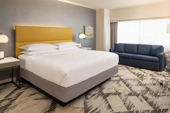 Room, 1 King Bed with Sofa bed