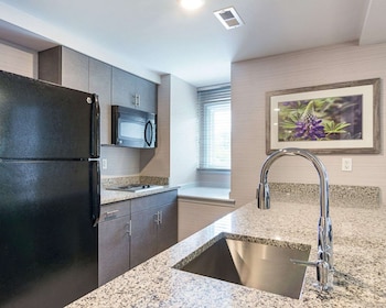 Premier Suite, 1 King Bed with Sofa bed, Non Smoking, Kitchenette (Efficiency)