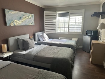 Economy Studio Suite