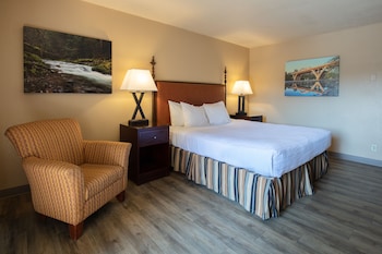 Dog Friendly King Room with Riverview