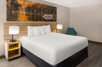 Room, 1 King Bed, Non Smoking