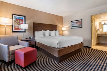 Standard Room, 1 King Bed, Non Smoking, Refrigerator & Microwave (Shower Only)