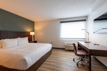 Suite, 1 King Bed with Sofa bed, Non Smoking