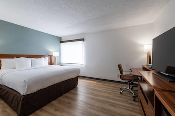 Standard Room, 1 King Bed, Non Smoking