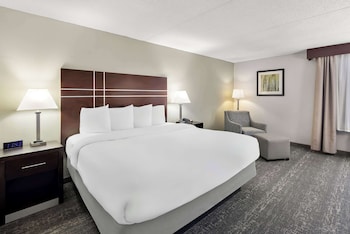 Standard Room, 1 King Bed, Non Smoking, Refrigerator & Microwave (Pet Friendly)