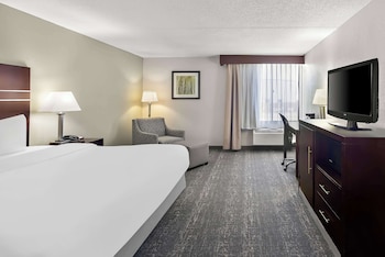 Standard Room, 1 King Bed, Non Smoking, Refrigerator & Microwave (Pet Friendly)
