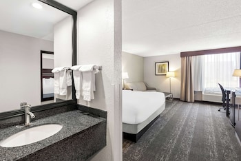 Standard Room, 1 King Bed, Non Smoking, Refrigerator & Microwave (with Sofabed)