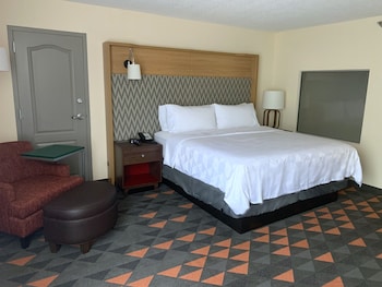 Suite, 1 King Bed