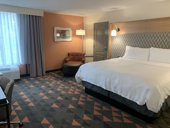 Standard Room, 1 King Bed, Roll-in Shower (Comm, Mobil, Roll Shwr)