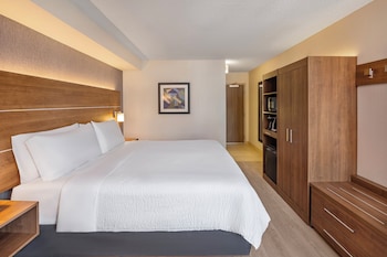 Standard Room, 1 King Bed, Hearing Accessible (Roll-In Shower)