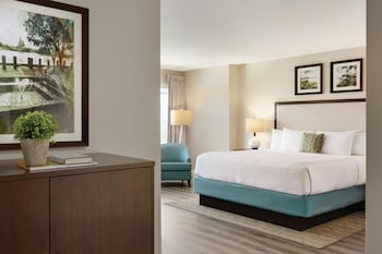Room, 1 King Bed, Accessible, River View (Mobility & Hearing, Roll-in Shower)