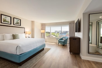 Suite, 1 King Bed, River View