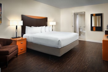 Room, 1 King Bed with Sofa bed