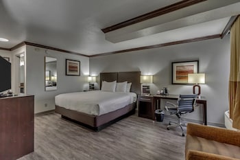 Room, 1 King Bed, Accessible, Non Smoking