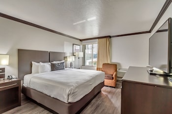 Executive Room, 1 King Bed, Non Smoking