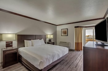 Studio Suite, 1 King Bed, Accessible, Non Smoking (Roll-in Shower)
