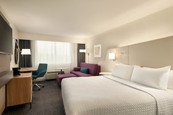 Standard Room, 1 King Bed with Sofa bed