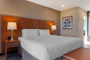 Executive Suite, 1 King Bed, Refrigerator, River View (with Sofabed)