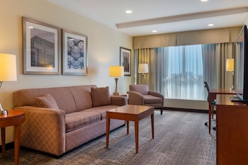 Executive Suite, 1 King Bed, Refrigerator, River View (with Sofabed)