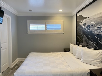 Family Studio Suite, Multiple Beds (sofabed not included)