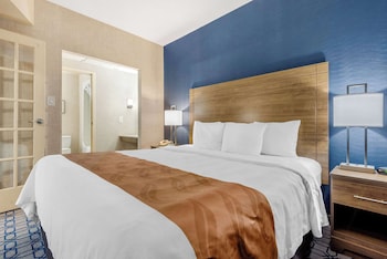 Suite, 1 King Bed, Non Smoking (Efficiency)