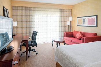 Room, 1 King Bed with Sofa bed