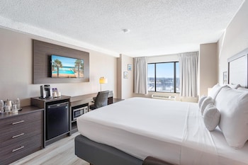 Standard Room, 1 King Bed, Accessible, Non Smoking (Walk-in Shower)
