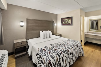 Deluxe Room, 1 King Bed (Smoke Free)