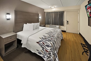 Standard Room, 1 Double Bed, Accessible (Smoke Free)